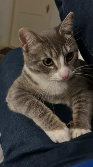 CARLY KAT - Sweet, Perfect, So FUN! :)