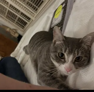 CARLY KAT - Sweet, Perfect, So FUN! :)