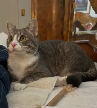 CARLY KAT - Sweet, Perfect, So FUN! :)