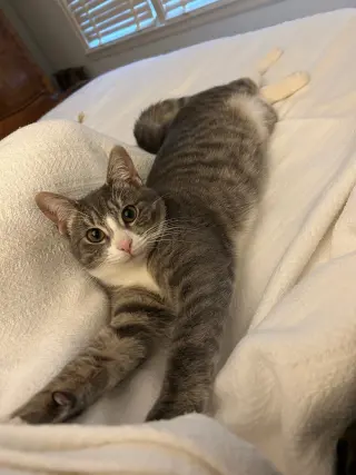 CARLY KAT - Sweet, Perfect, So FUN! :)
