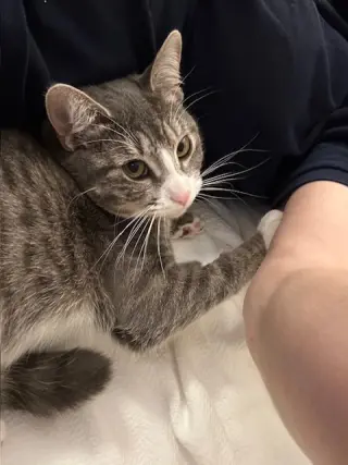 CARLY KAT - Sweet, Perfect, So FUN! :)