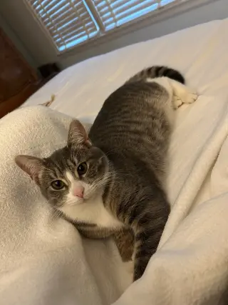 CARLY KAT - Sweet, Perfect, So FUN! :)