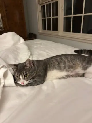 CARLY KAT - Sweet, Perfect, So FUN! :)