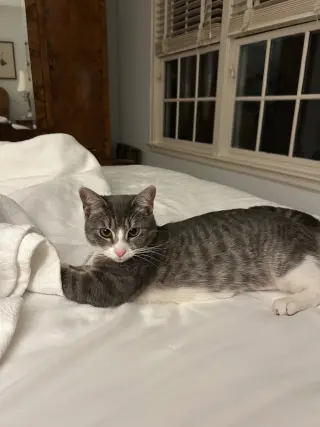 CARLY KAT - Sweet, Perfect, So FUN! :)
