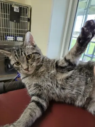 Oliver