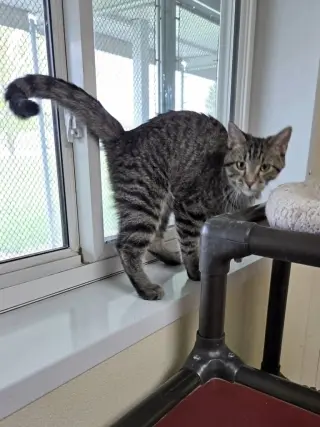 Oliver