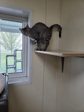 Oliver