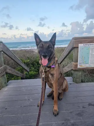 Gary - Located in Florida