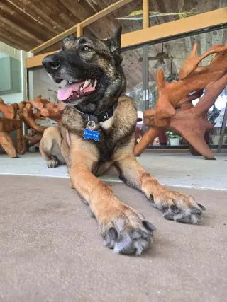 Gary - Located in Florida