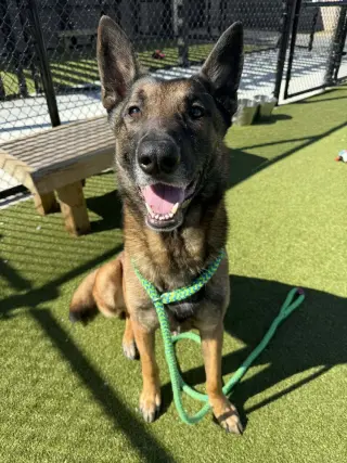 Gary - Located in Florida