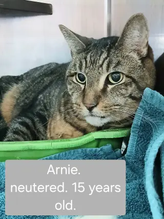 Arnie