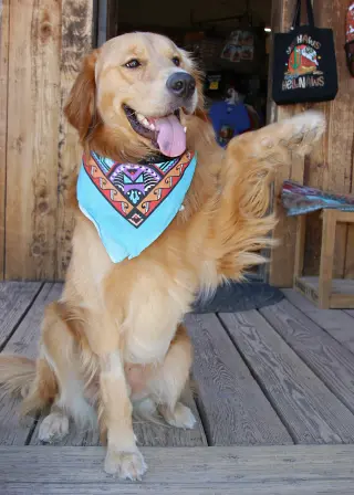 Bleu