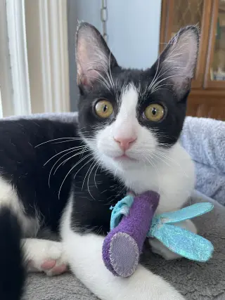Katie