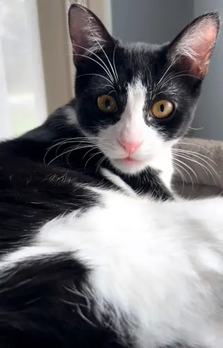 Katie