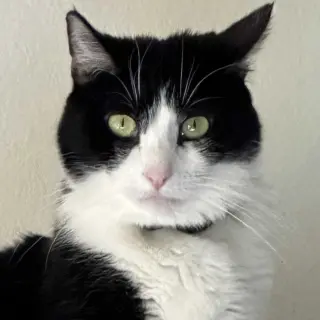 Mariah Purry