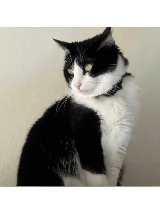 Mariah Purry