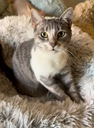 Lily Jenkins