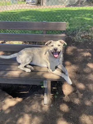 Happy