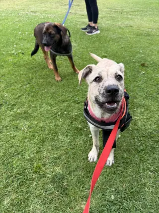 Happy