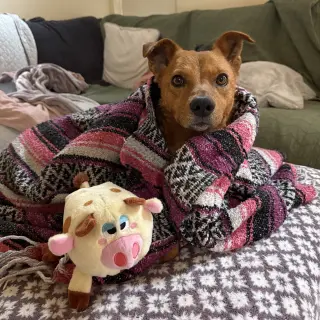 Walter