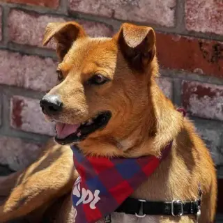 Walter