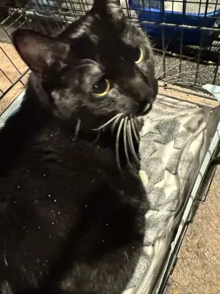 Winnie