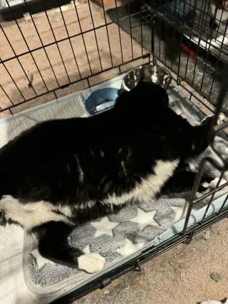 Winnie