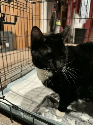 Winnie