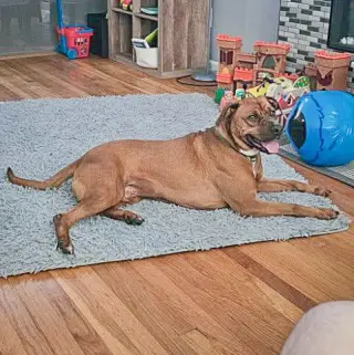 Bubba