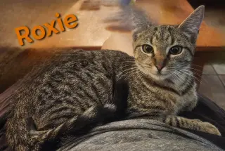 Roxie