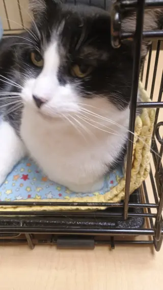 Slush @ Medina Petsmart