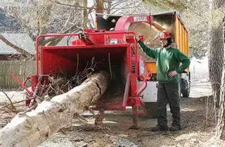 Ramirez Tree Service