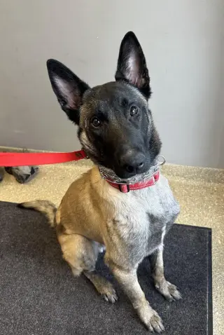 Beau - Located in LA