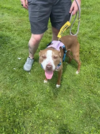 Maggie