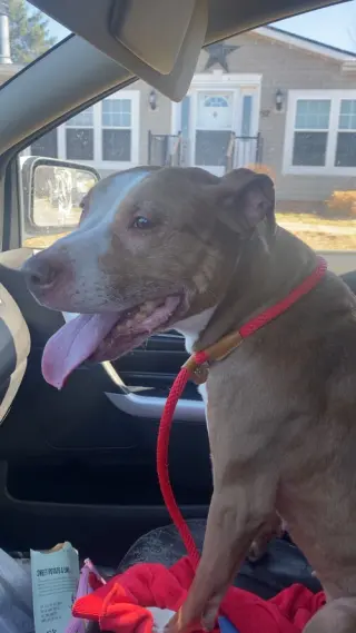Maggie
