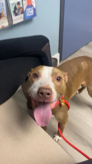 Maggie