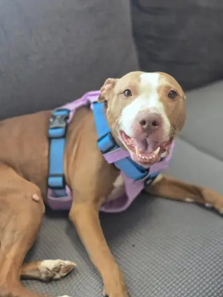 Maggie