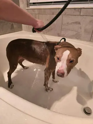 Maggie