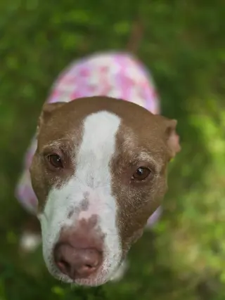 Maggie