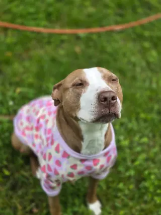Maggie