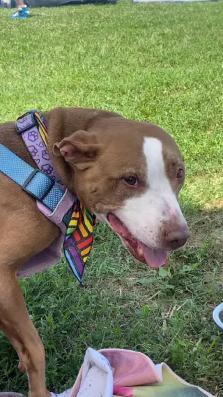 Maggie