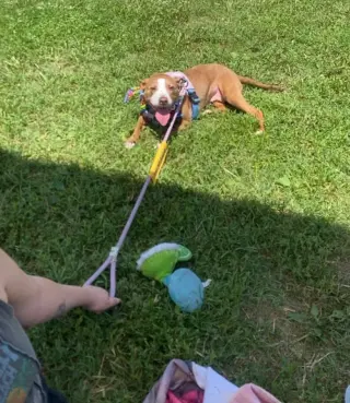 Maggie