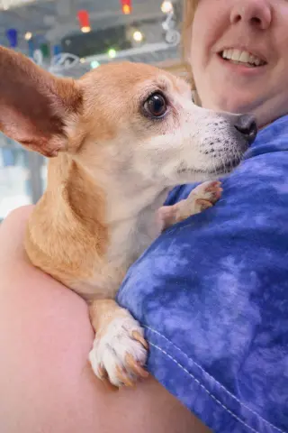 Sugar Chi
