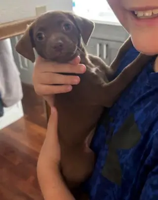 Lorenzo