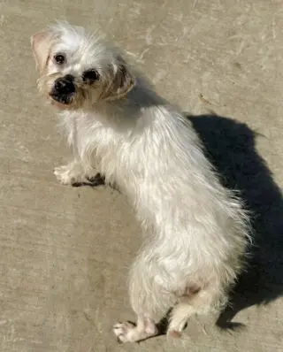 Baylee