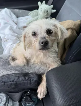 Baylee