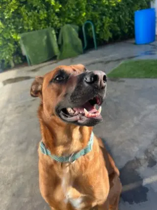 Luna