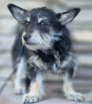 Chance