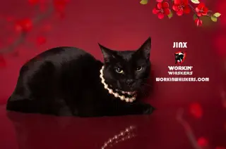 JINX