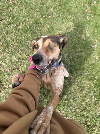 Peggy